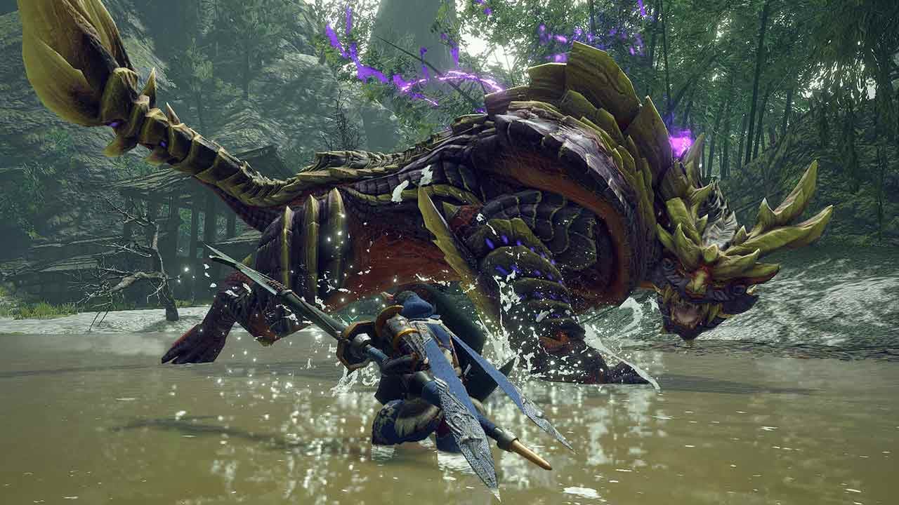 Detail Foto Monster Hunter Nomer 15