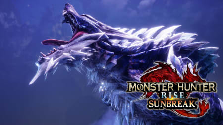 Detail Foto Monster Hunter Nomer 29