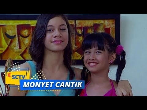 Detail Foto Monyet Cantik Nomer 34