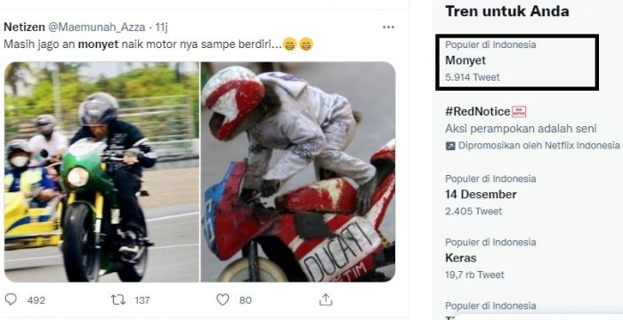 Detail Foto Monyet Naik Motor Nomer 32