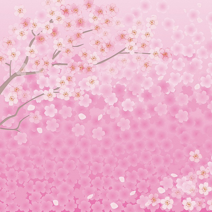 Detail Foto Motif Bunga Sakura Nomer 2