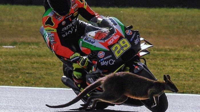 Detail Foto Motogp Lucu Nomer 41