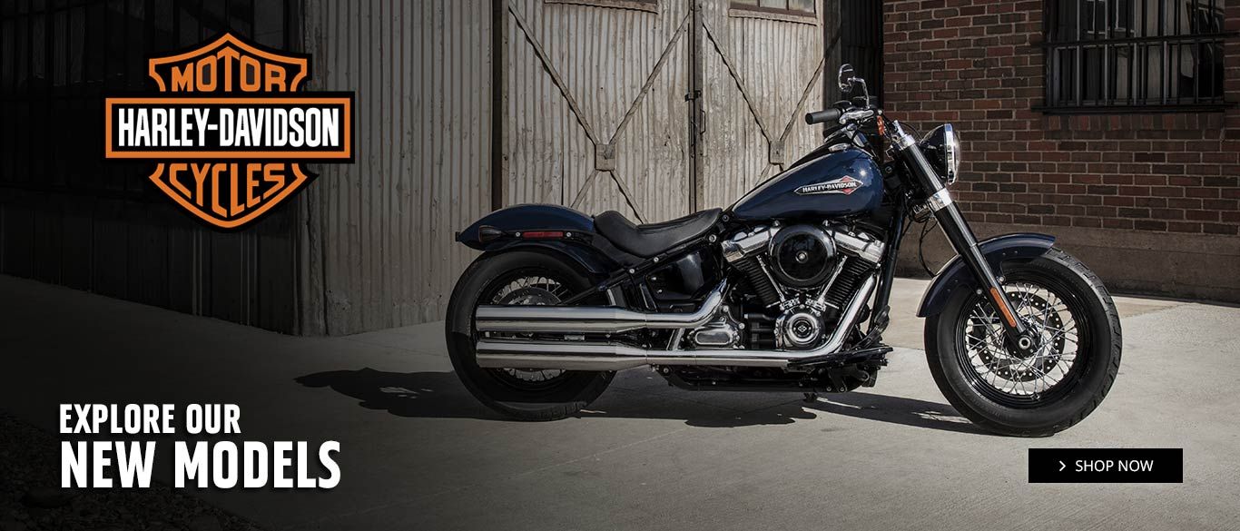 Detail Foto Motor Harley Davidson Nomer 26