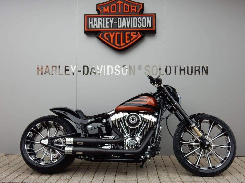 Detail Foto Motor Harley Davidson Nomer 30