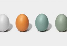 Detail Araucana Rosa Eier Nomer 4