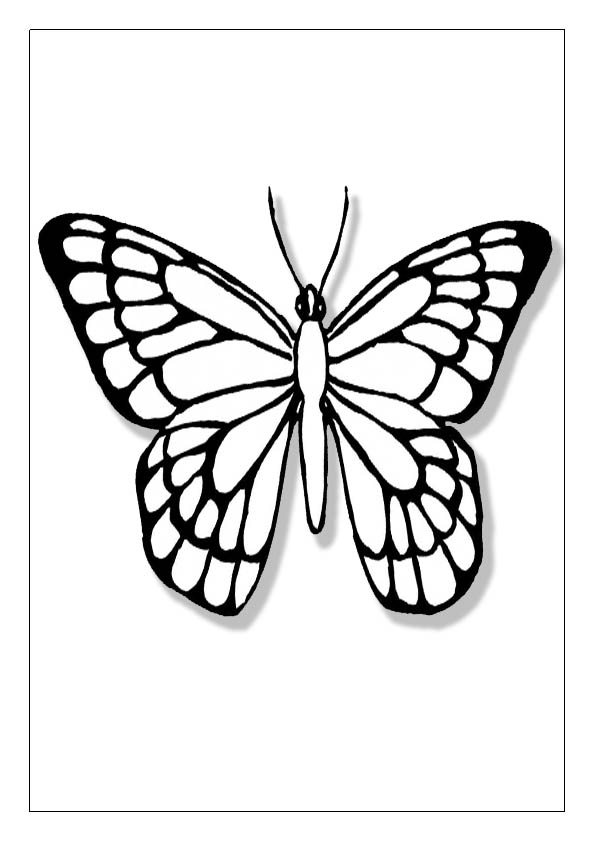 Detail Ausmalbilder Schmetterling Mandala Nomer 12