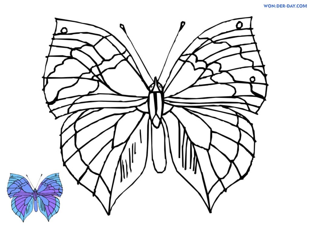 Detail Ausmalbilder Schmetterling Mandala Nomer 2