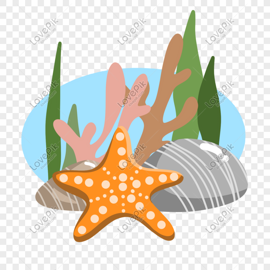 Detail Bintang Laut Clipart Nomer 29