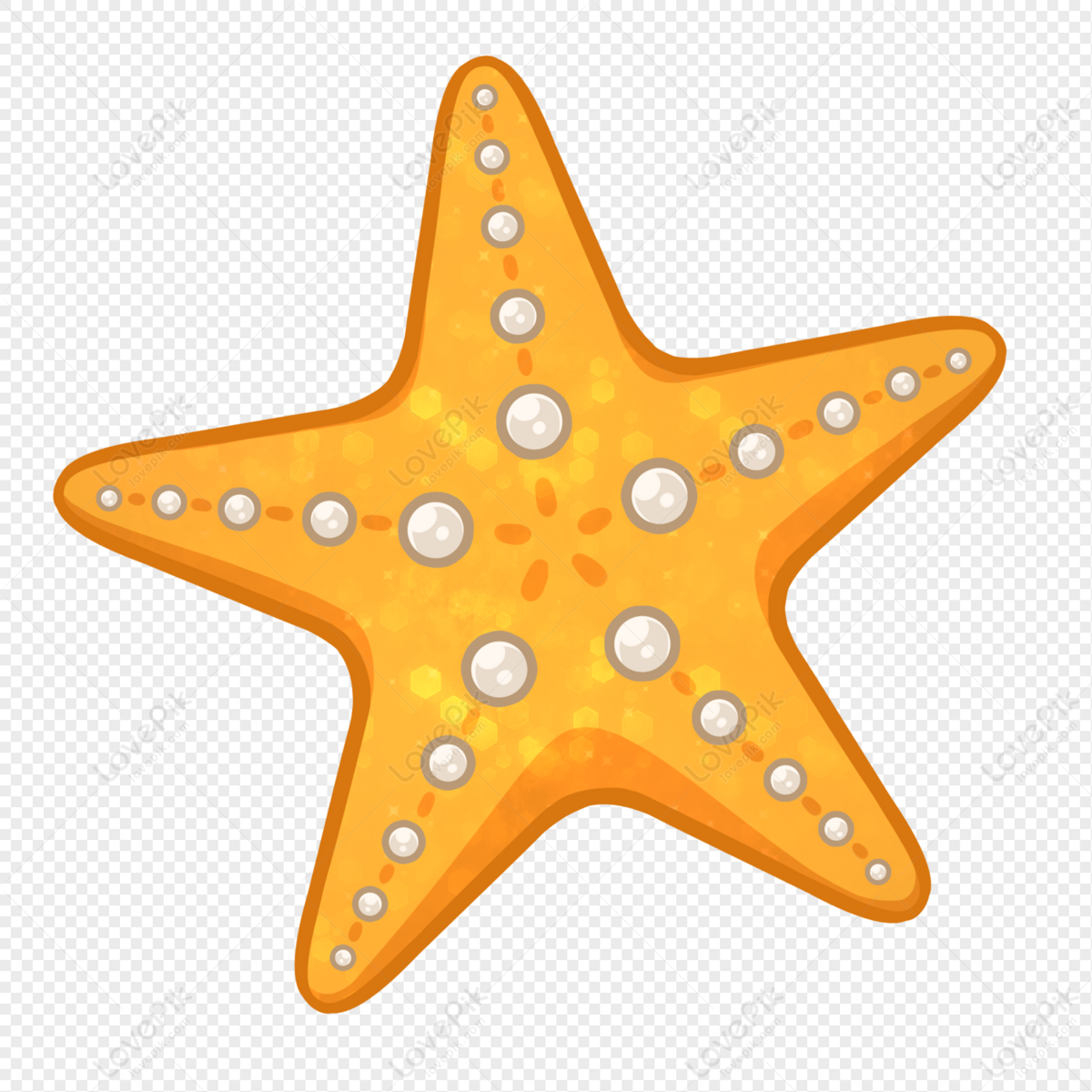 Detail Bintang Laut Png Nomer 36