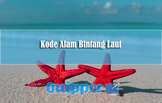 Detail Bintang Laut Raksasa Nomer 39