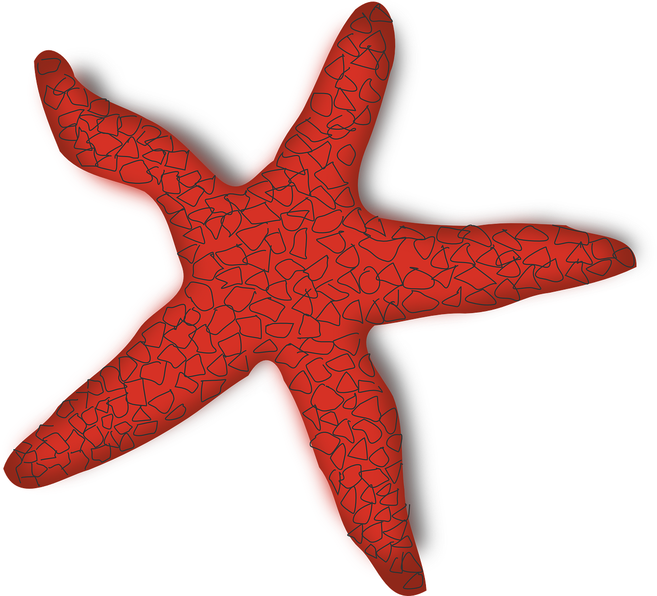 Bintang Laut Vector - KibrisPDR