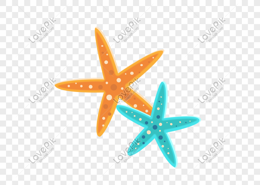 Detail Bintang Laut Vector Nomer 16