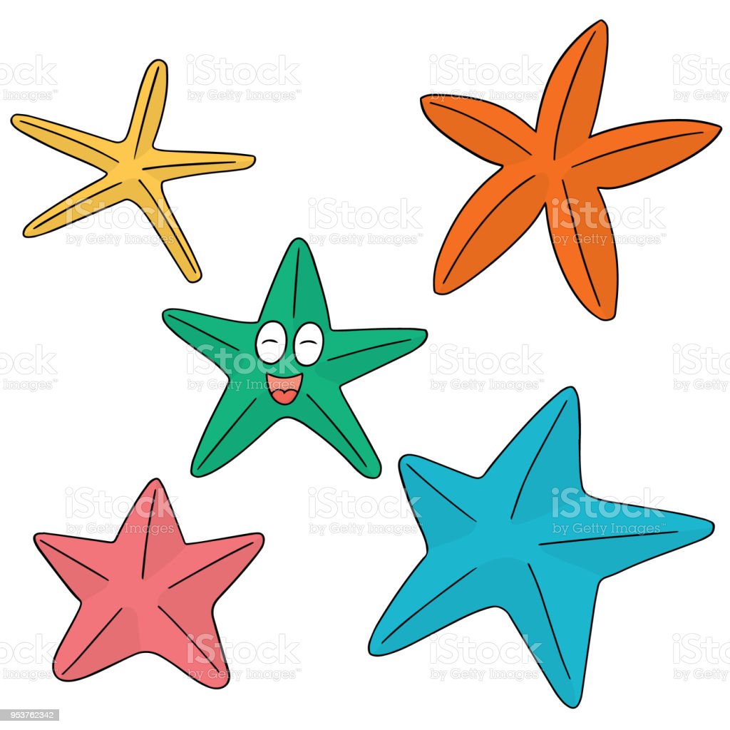 Detail Bintang Laut Vector Nomer 24