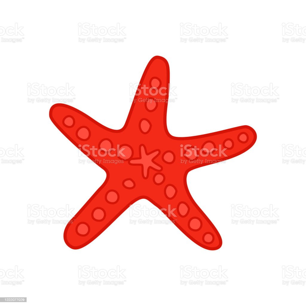 Detail Bintang Laut Vector Nomer 25