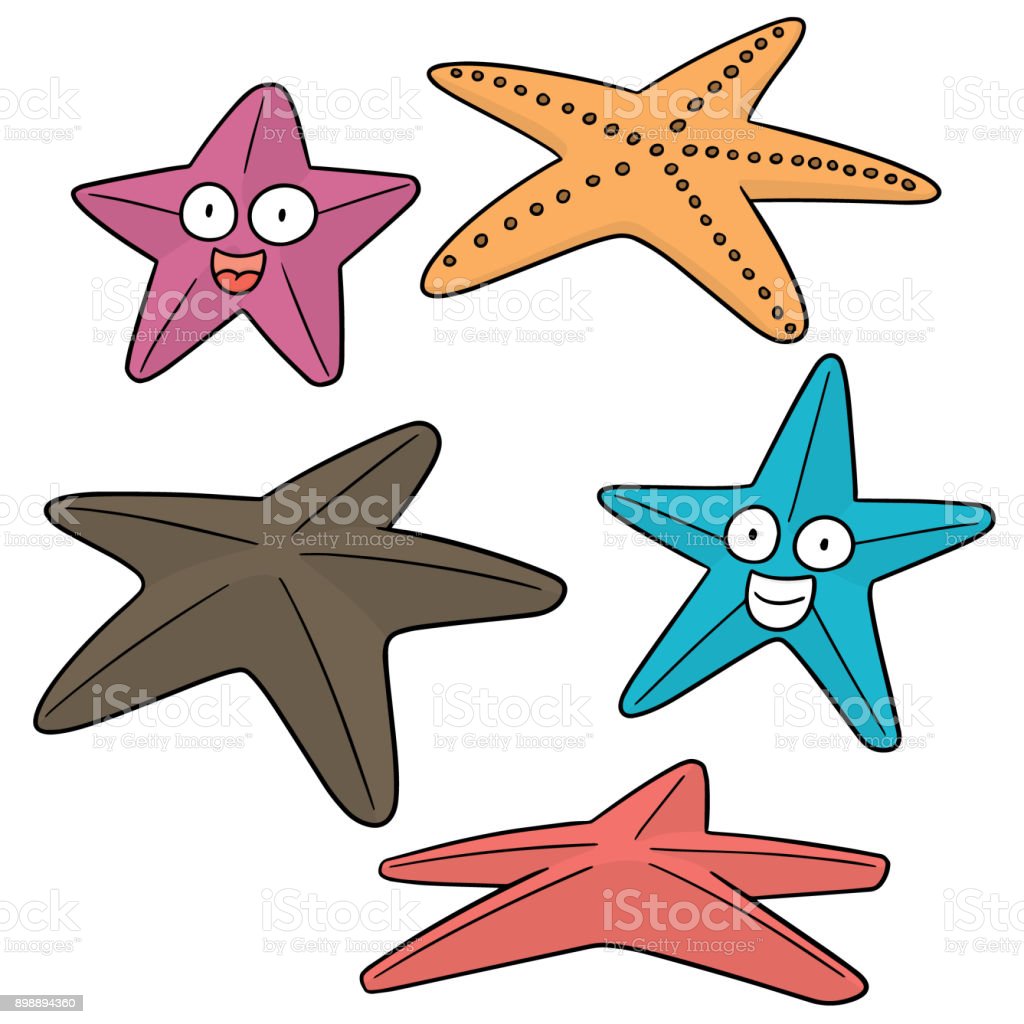 Detail Bintang Laut Vector Nomer 31