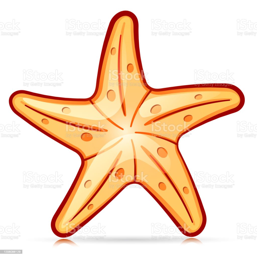 Detail Bintang Laut Vector Nomer 5