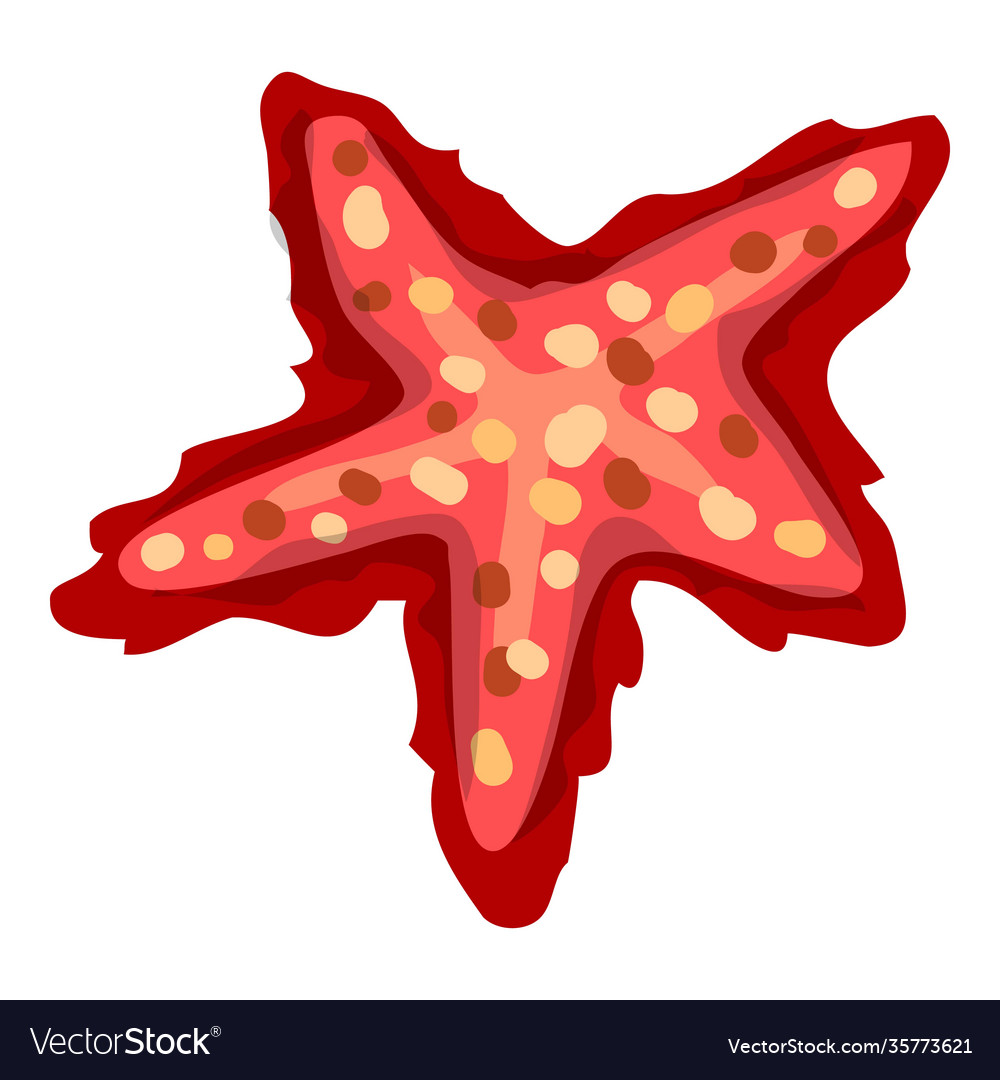 Detail Bintang Laut Vector Nomer 44