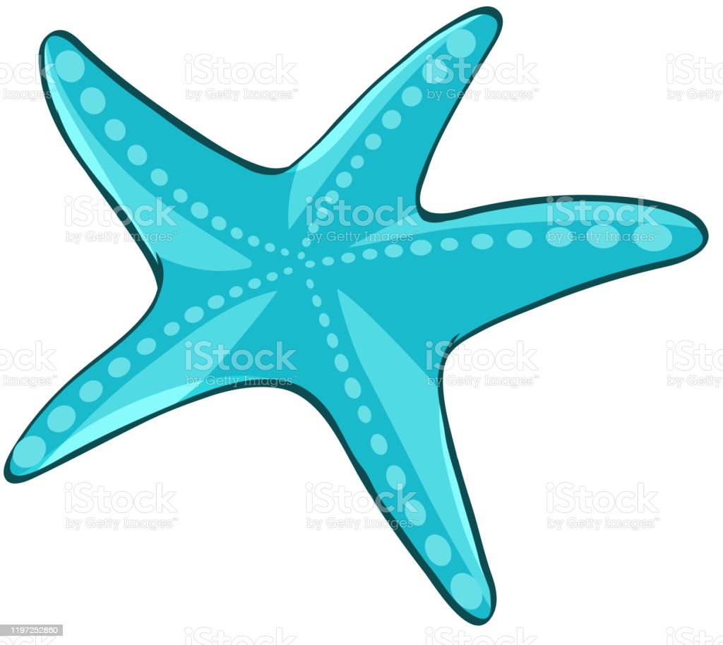 Detail Bintang Laut Vector Nomer 6