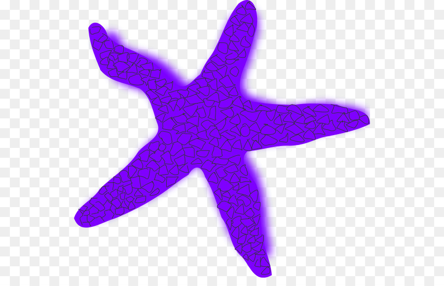 Detail Bintang Laut Vector Nomer 47