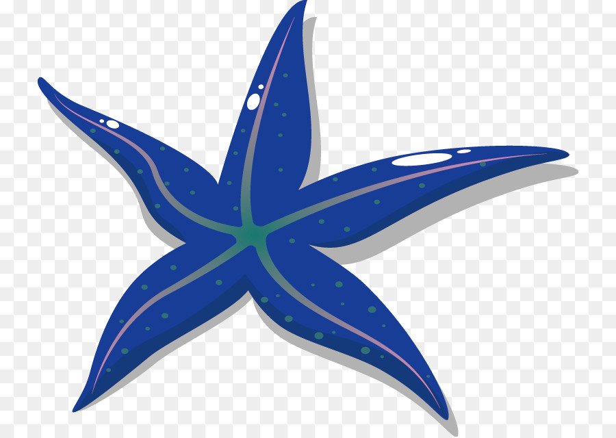 Detail Bintang Laut Vector Nomer 48