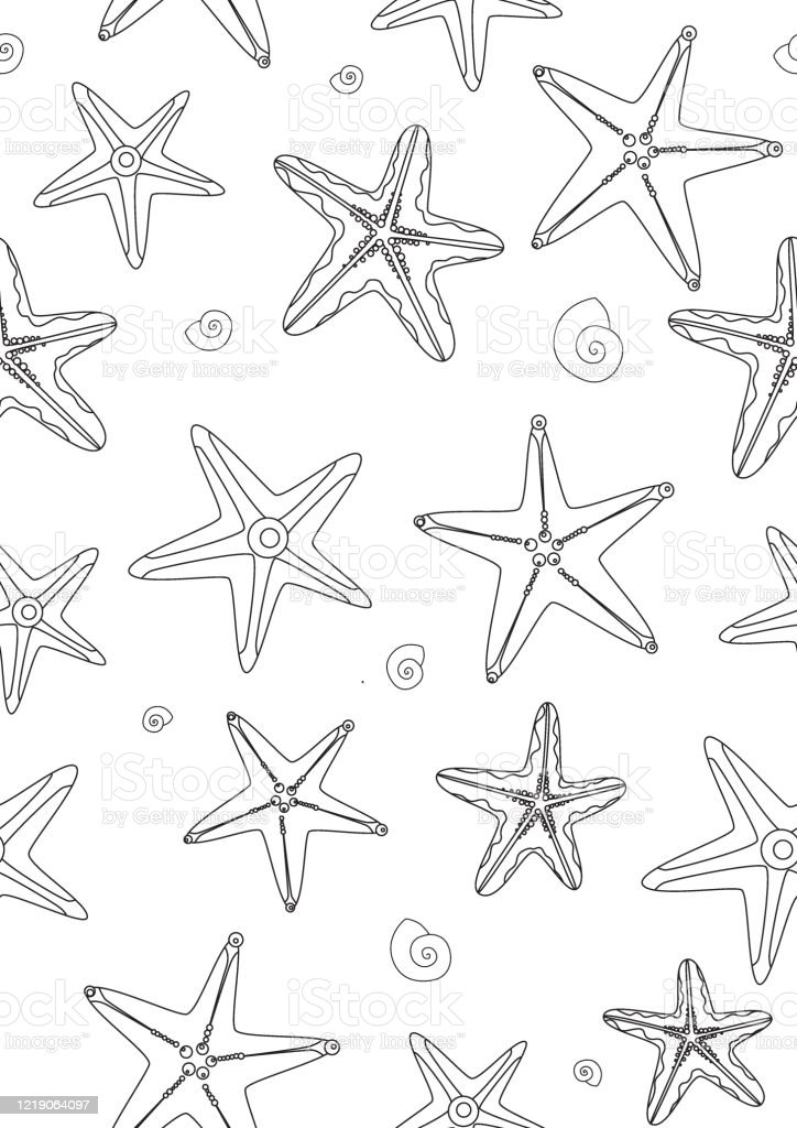 Detail Bintang Laut Vector Nomer 54