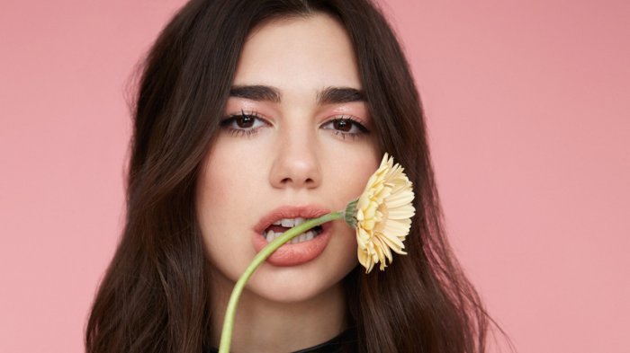 Detail Biografi Dua Lipa Nomer 18