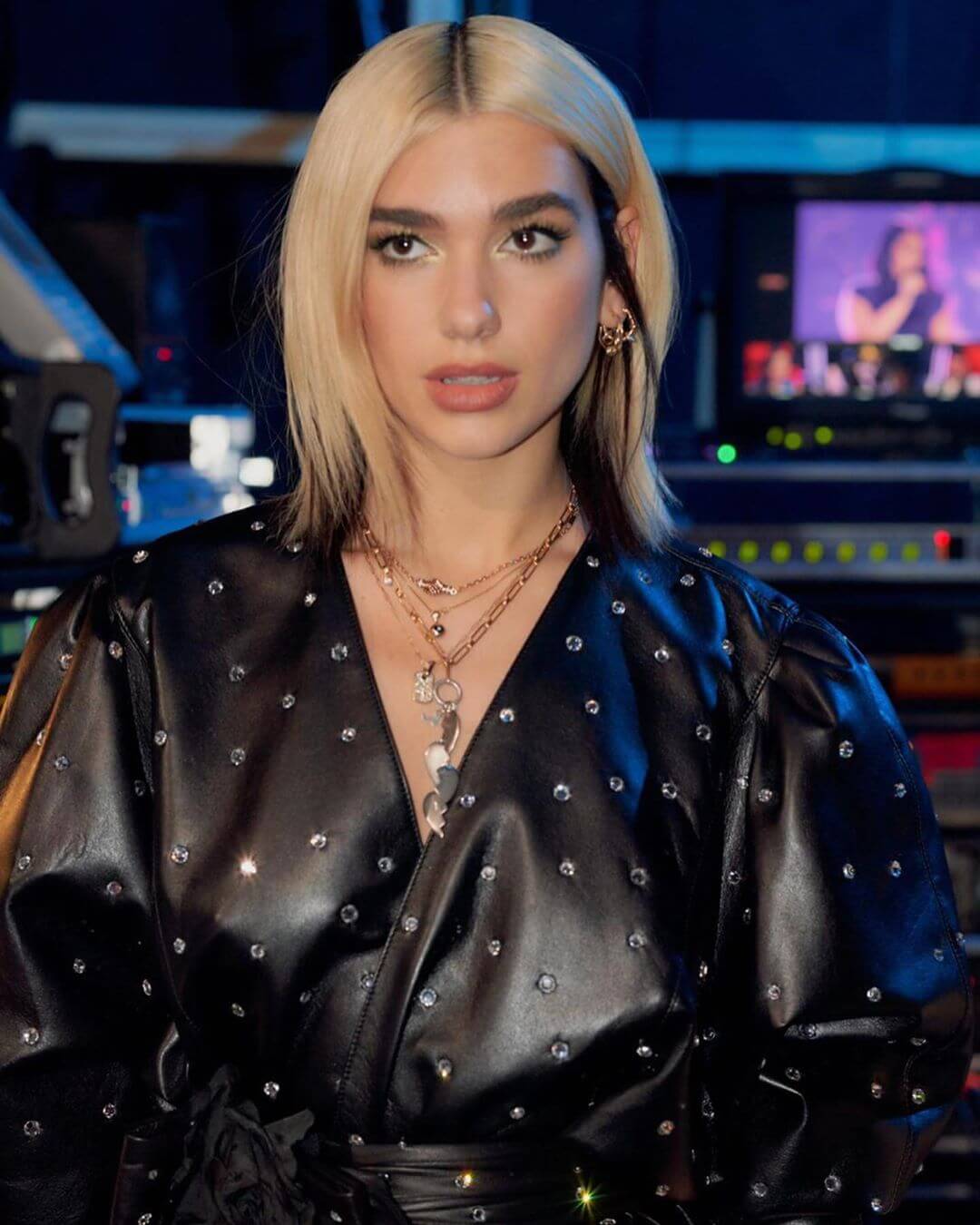 Detail Biografi Dua Lipa Nomer 19