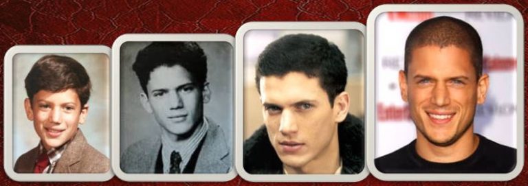 Detail Biografi Wentworth Miller Nomer 49