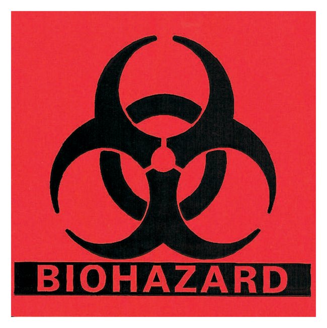 Detail Biohazard Image Nomer 25