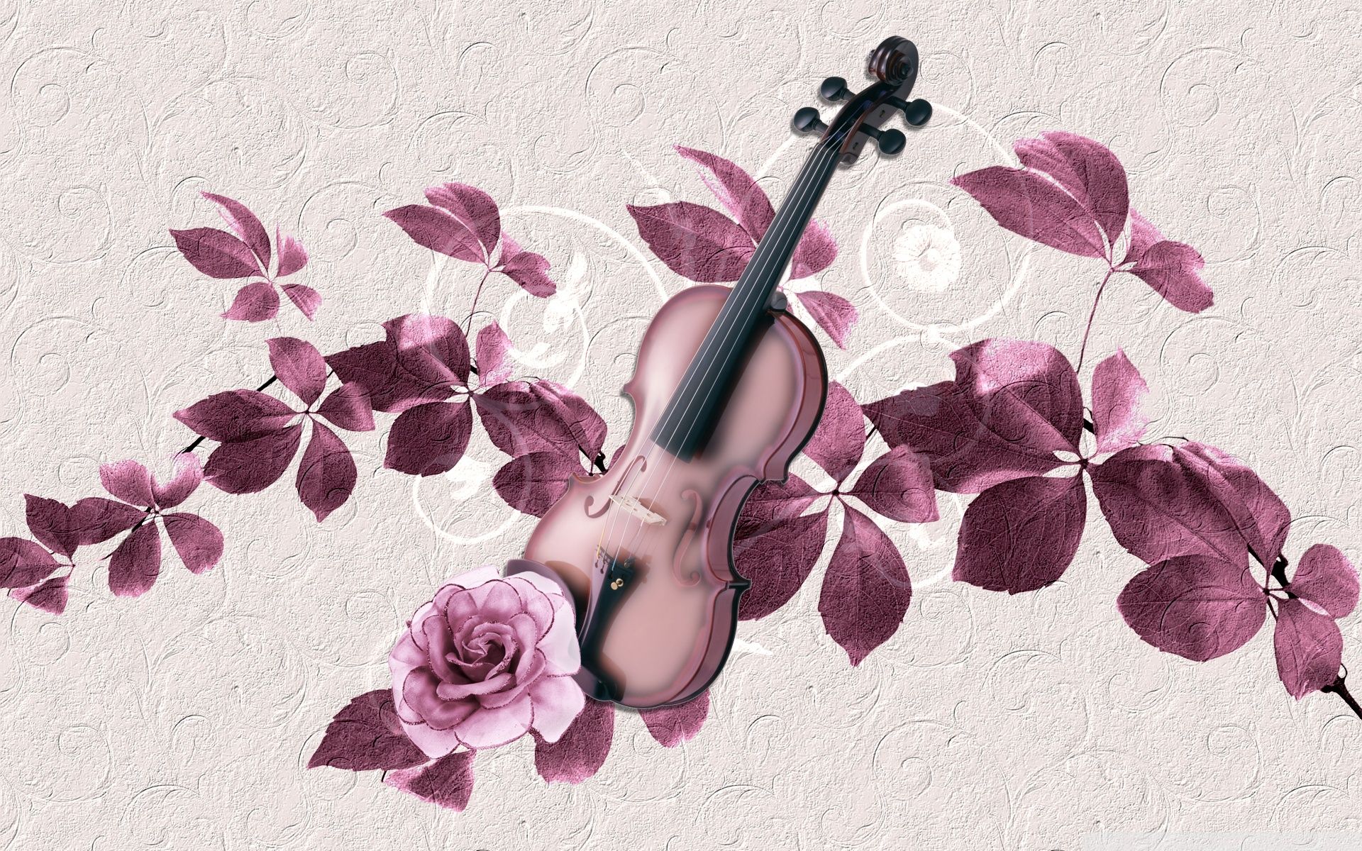 Detail Biola Wallpaper Nomer 26