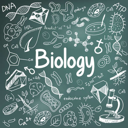 Detail Biologi Background Nomer 4