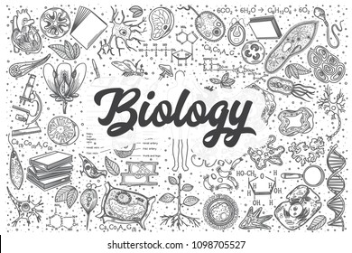 Detail Biologi Background Nomer 32