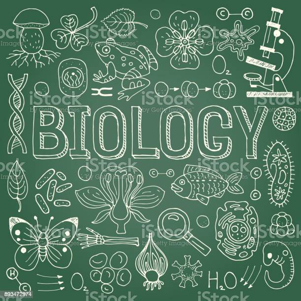 Detail Biologi Background Nomer 40