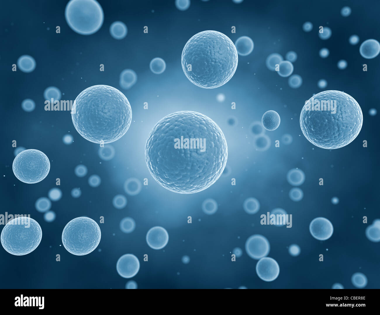 Detail Biologi Background Nomer 48