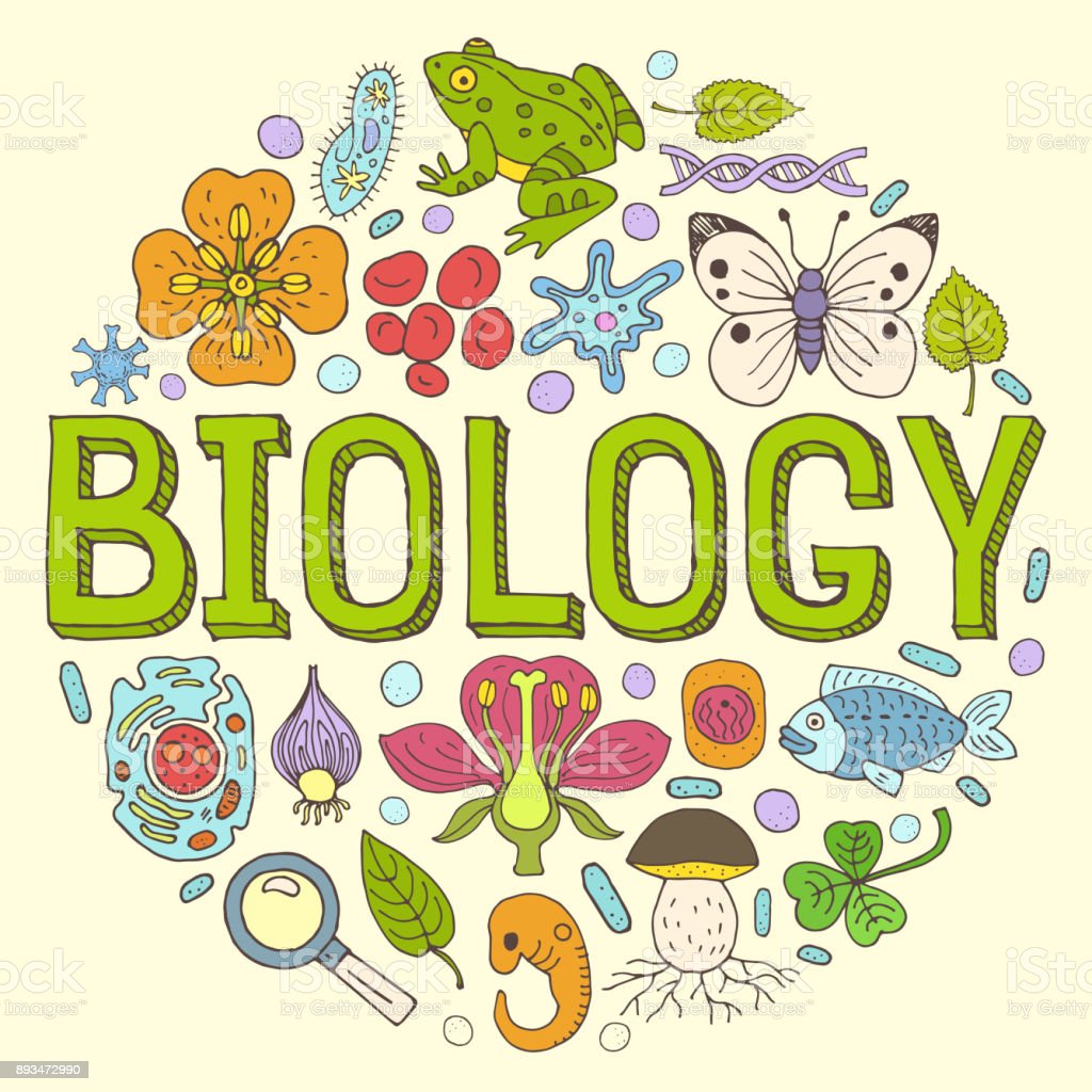 Detail Biologi Background Nomer 8