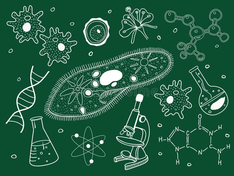 Detail Biologi Background Nomer 9