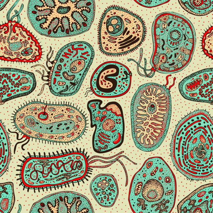 Detail Biology Wallpaper Nomer 21