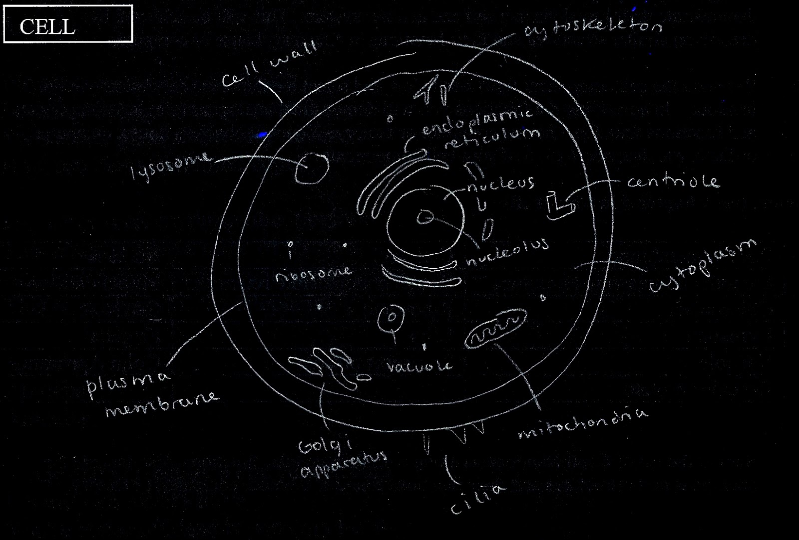 Detail Biology Wallpaper Nomer 41