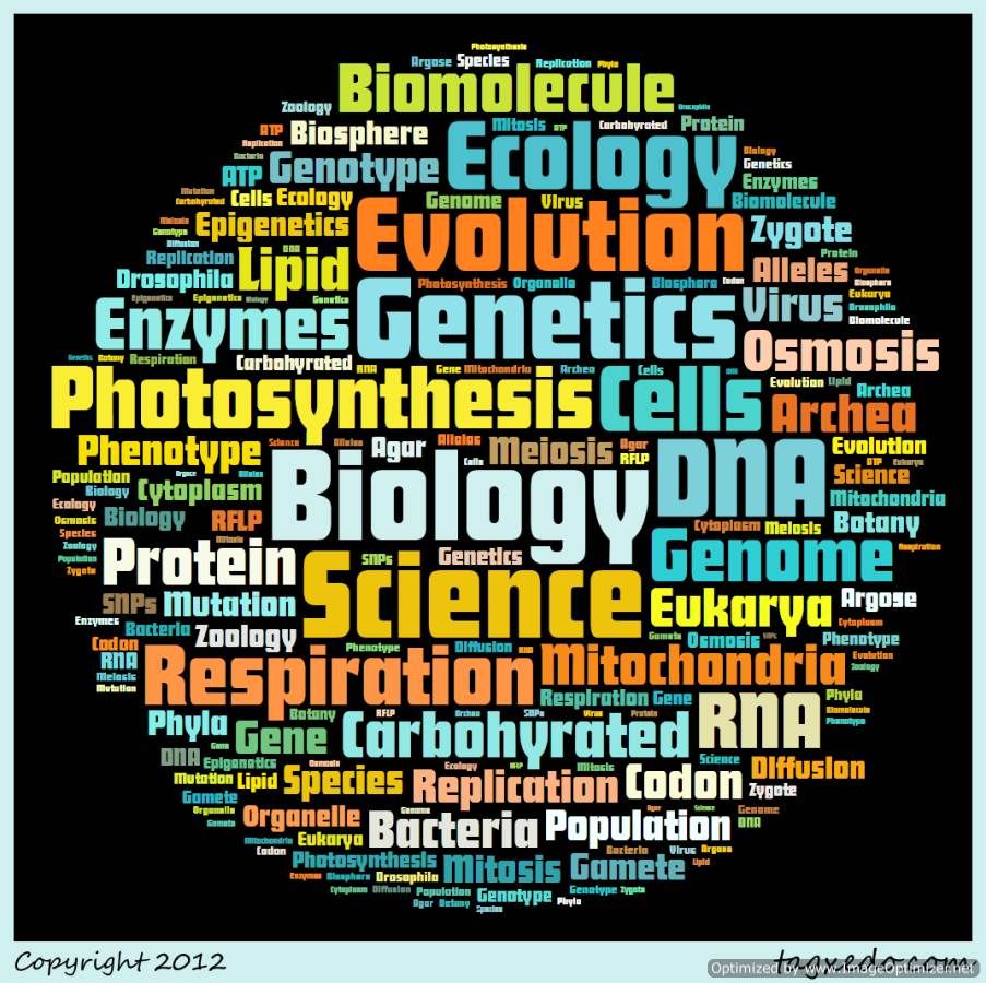 Detail Biology Wallpaper Nomer 9