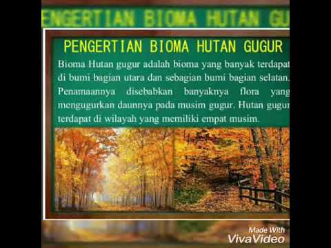 Detail Bioma Hutan Gugur Nomer 11