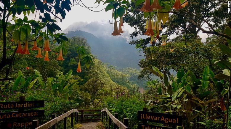 Bioma Hutan Hujan Tropis - KibrisPDR