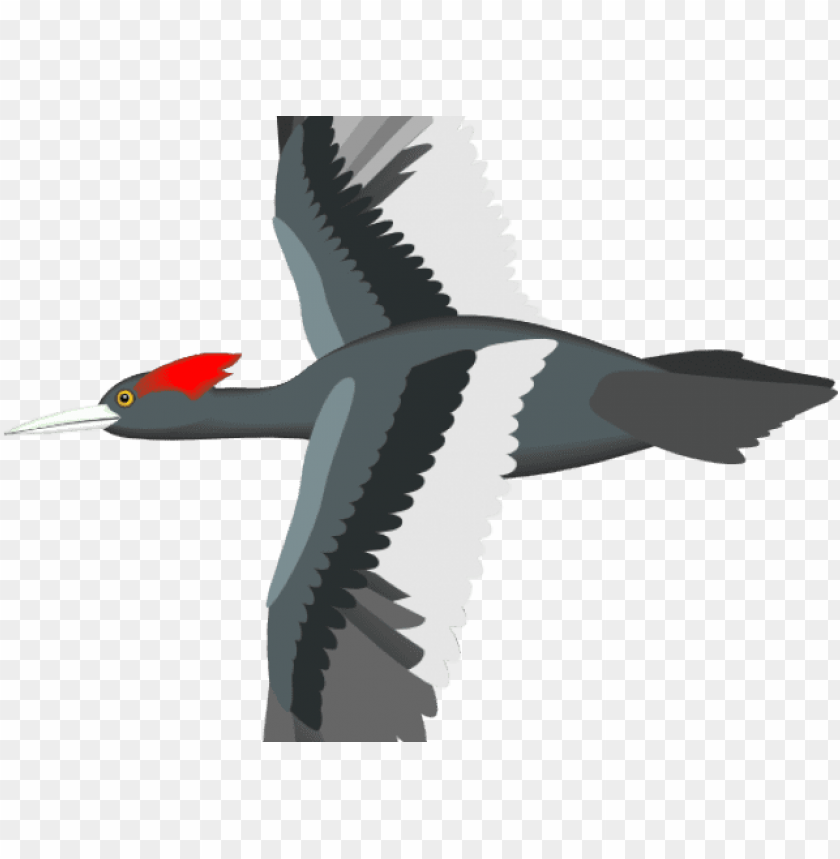 Detail Bird Animation Png Nomer 21