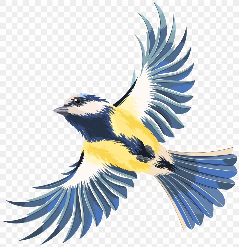 Detail Bird Animation Png Nomer 24