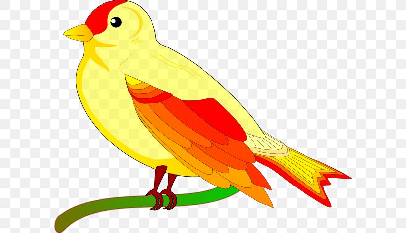 Detail Bird Animation Png Nomer 27