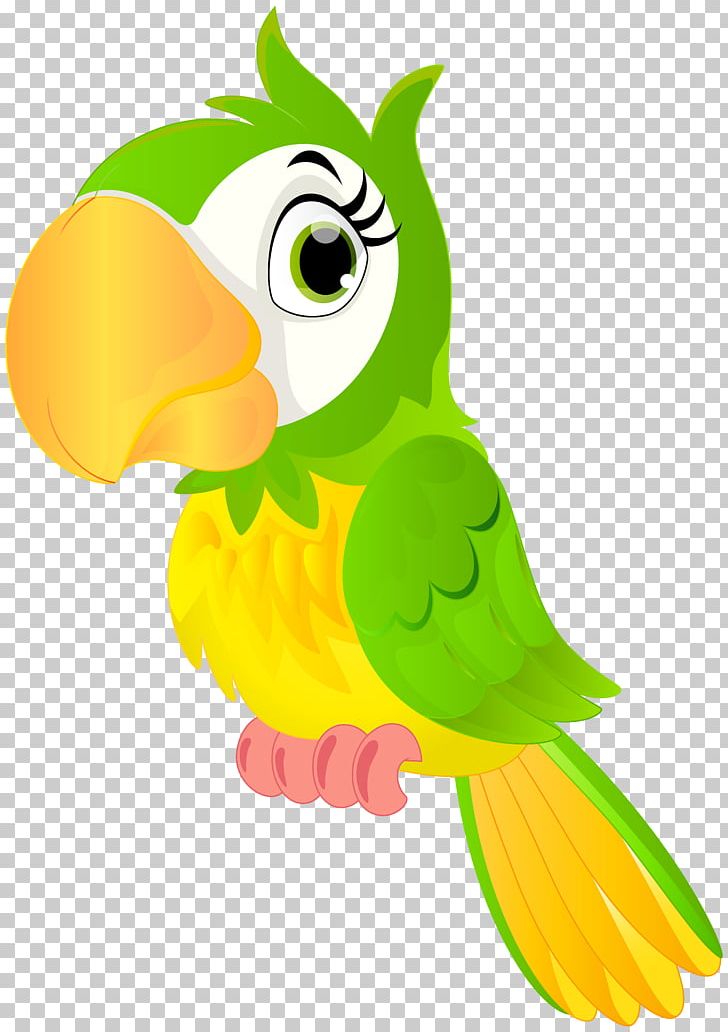 Detail Bird Animation Png Nomer 31