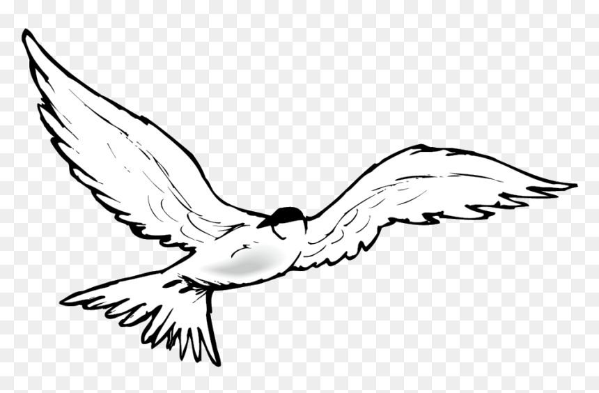 Detail Bird Animation Png Nomer 50