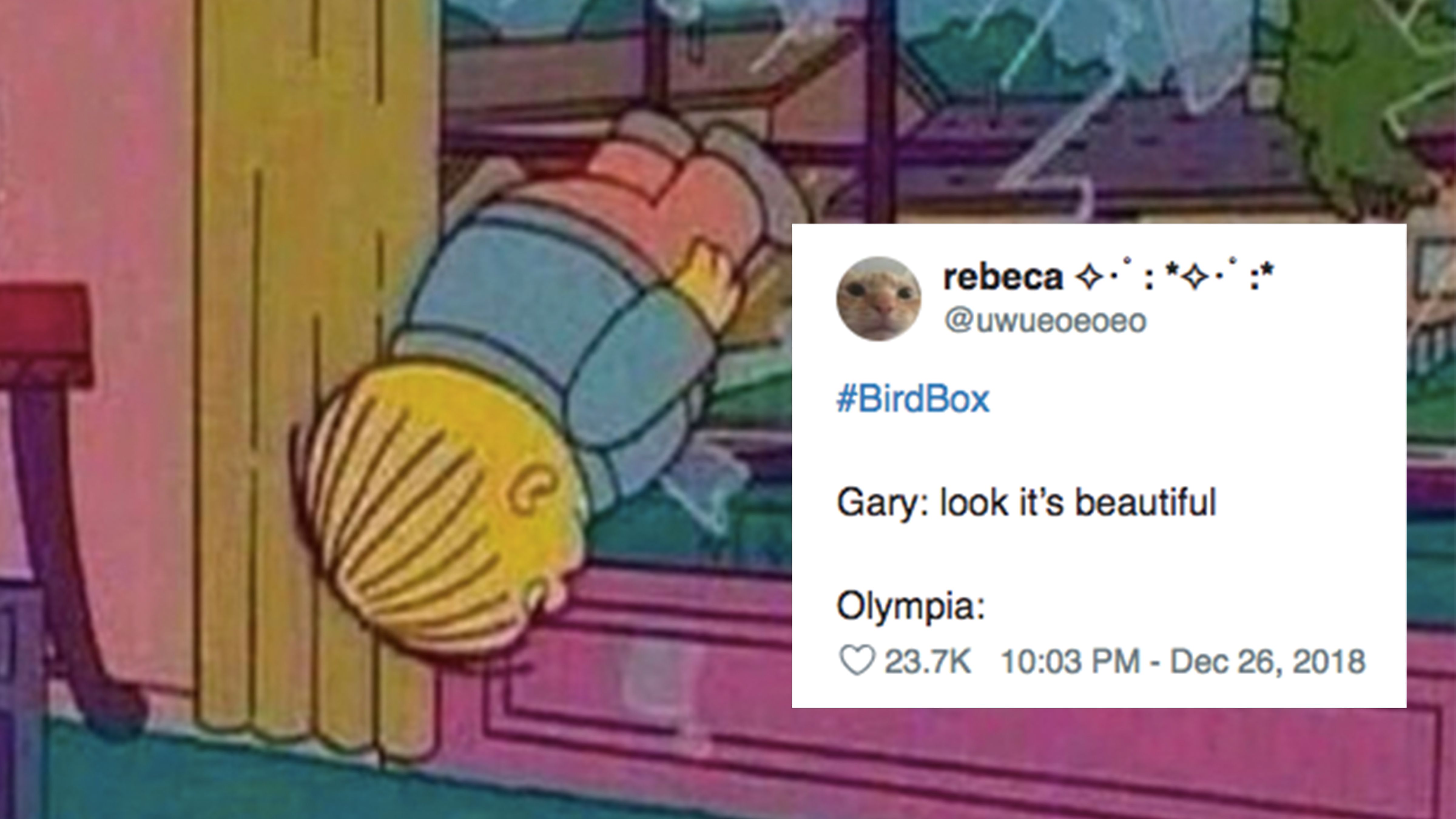 Detail Bird Box Meme Nomer 11