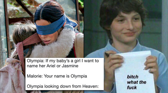 Detail Bird Box Meme Nomer 12