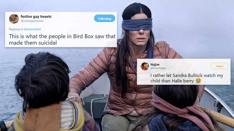 Detail Bird Box Meme Nomer 14