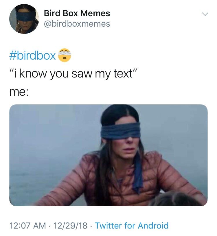 Detail Bird Box Meme Nomer 16